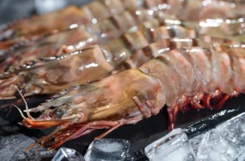 上海老用户福音：足不出户就能买到麦德龙是种什么体验？