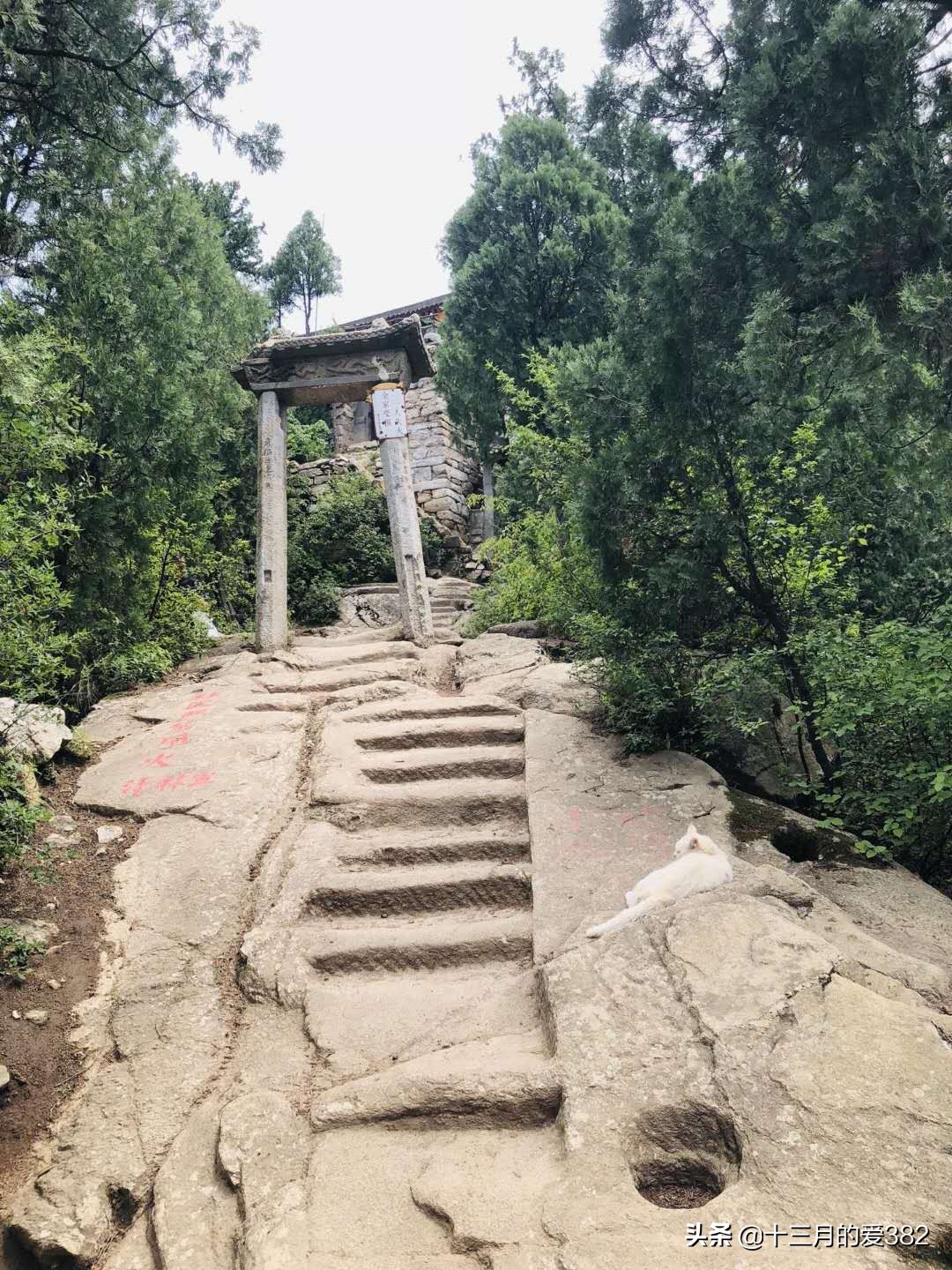 品子午樱桃，游千年古镇