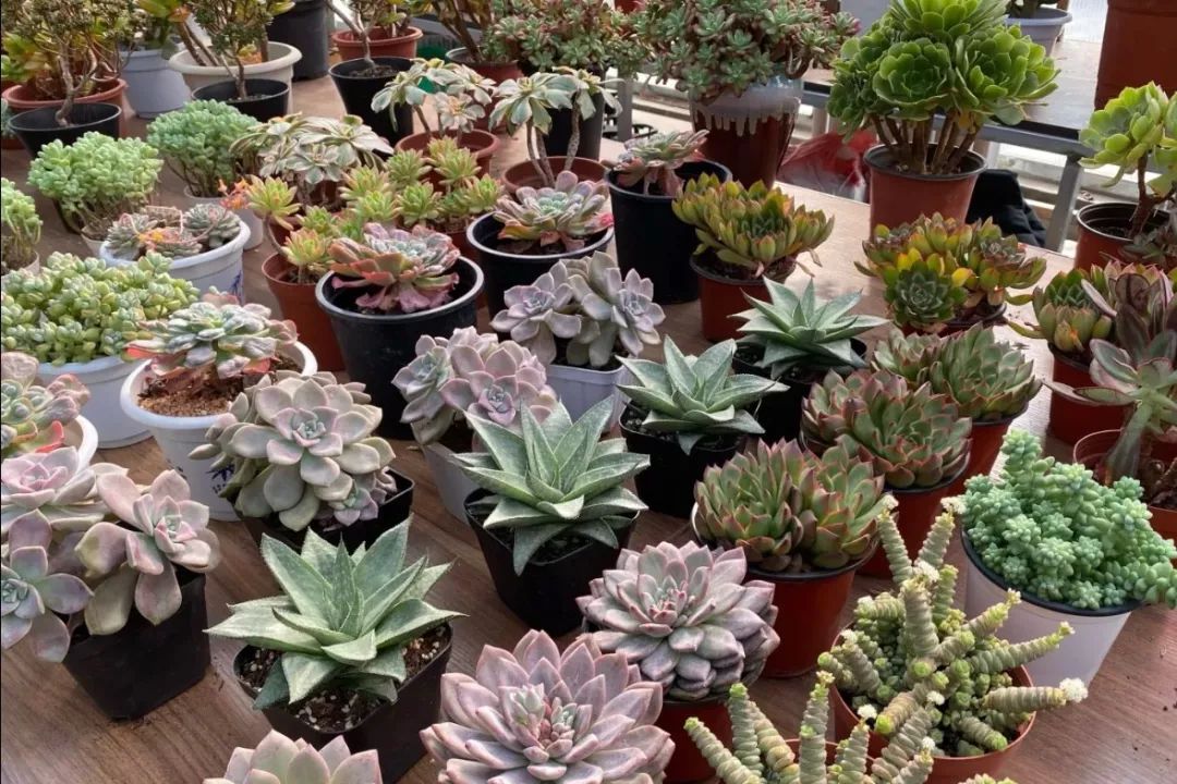 西安批发市场大全,西安最全批发市场地址