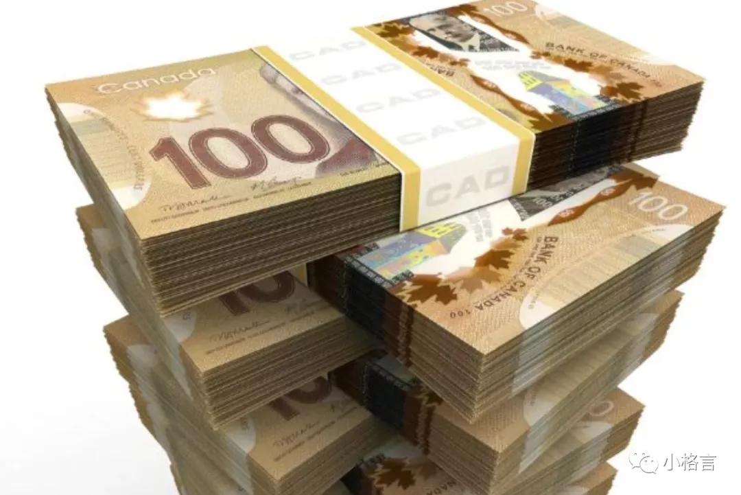 加拿大入境携带药品注意事项,加拿大海关最新入境携带物品规定