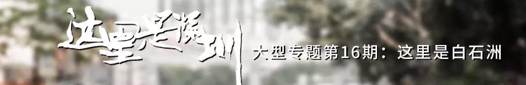 白石洲城中,白石洲的海边