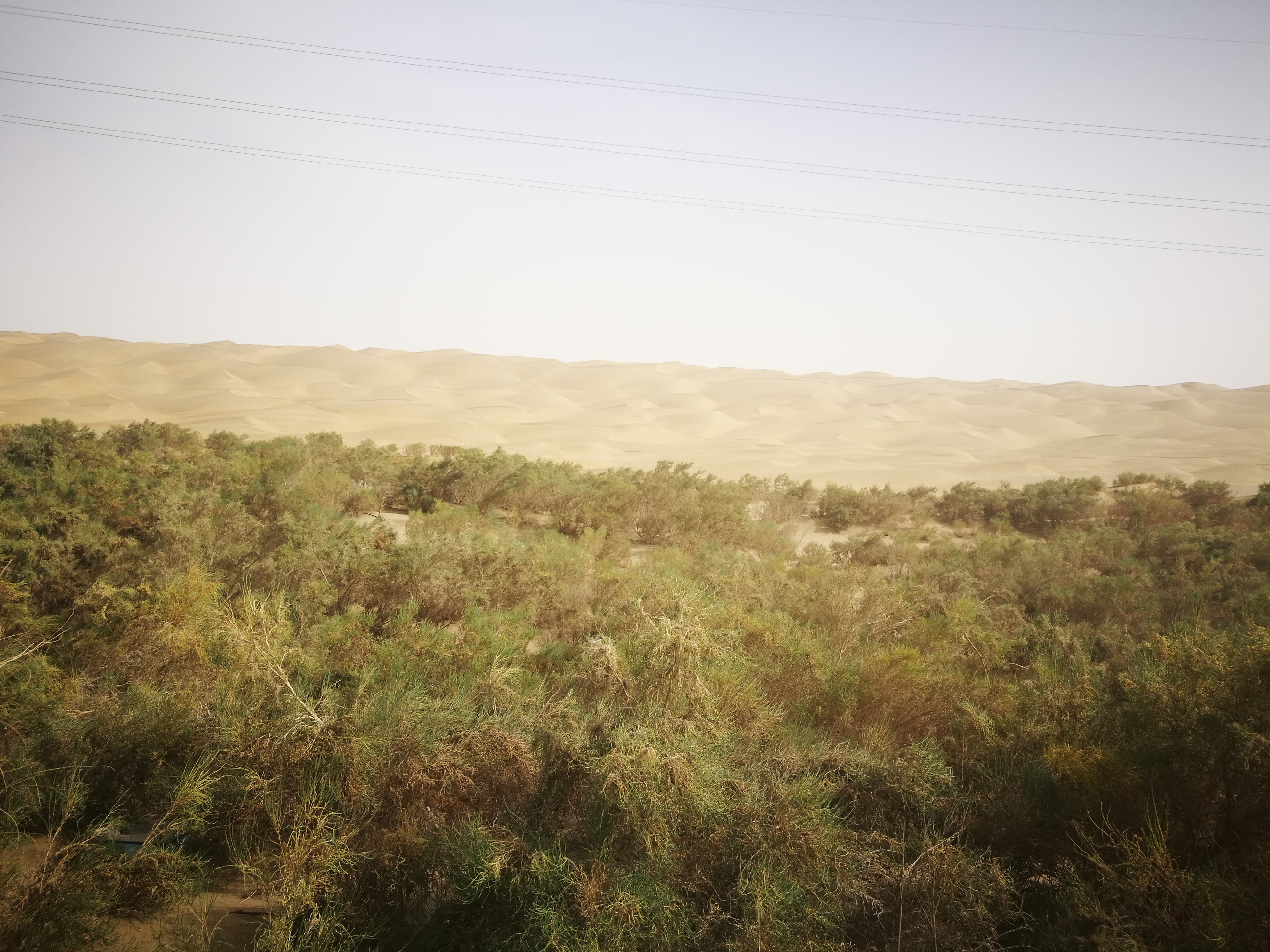 13000公里新手独驾*疆新**日记第23天——塔克拉玛干沙漠陷车自救