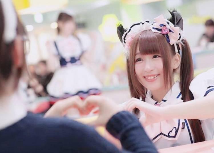 萌？治愈？宅男天堂？快来看看日本的女仆咖啡厅都提供哪些服务