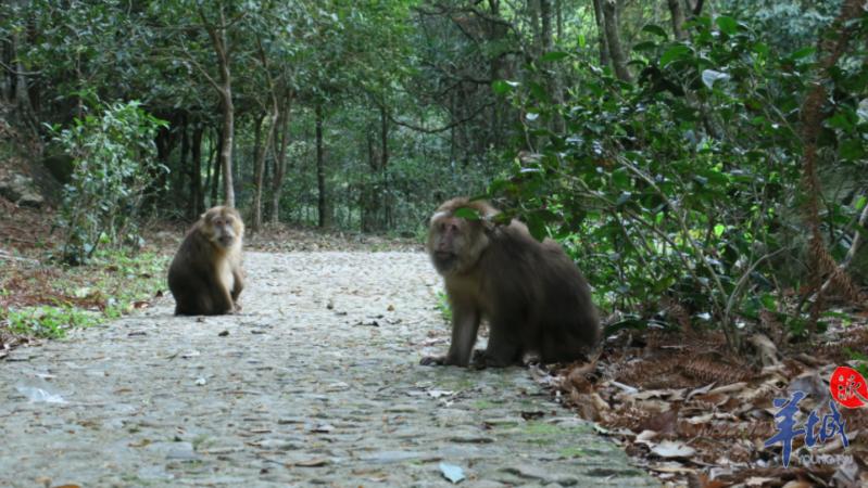 科学探秘未解之谜视频,科学探秘未解之谜
