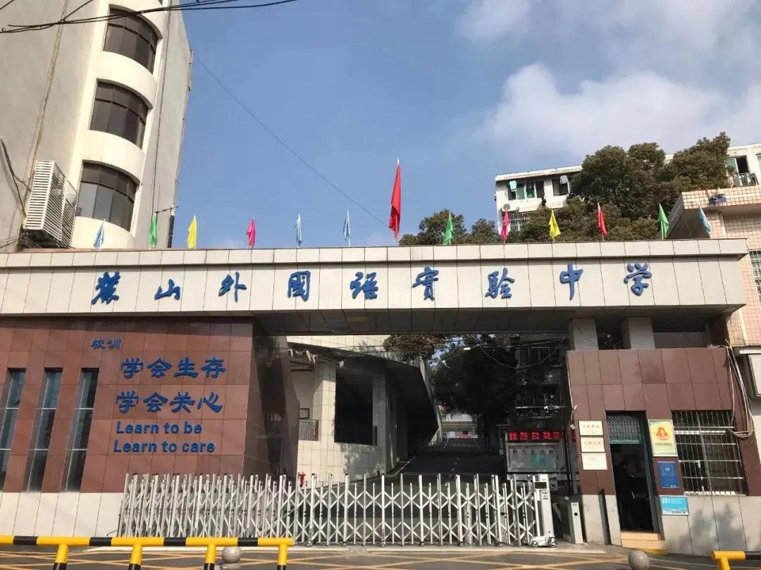 麓山国际长沙分校,麓山国际分校