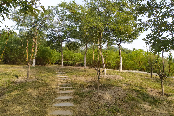 陈子昂最经典的一首诗,陈子昂的经典诗句