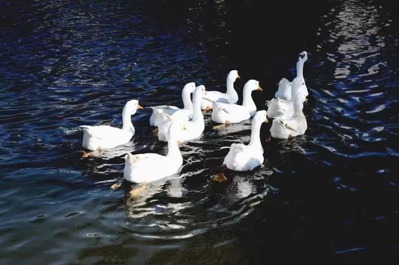 高考考入大连海事大学,大连海事大学高考2020