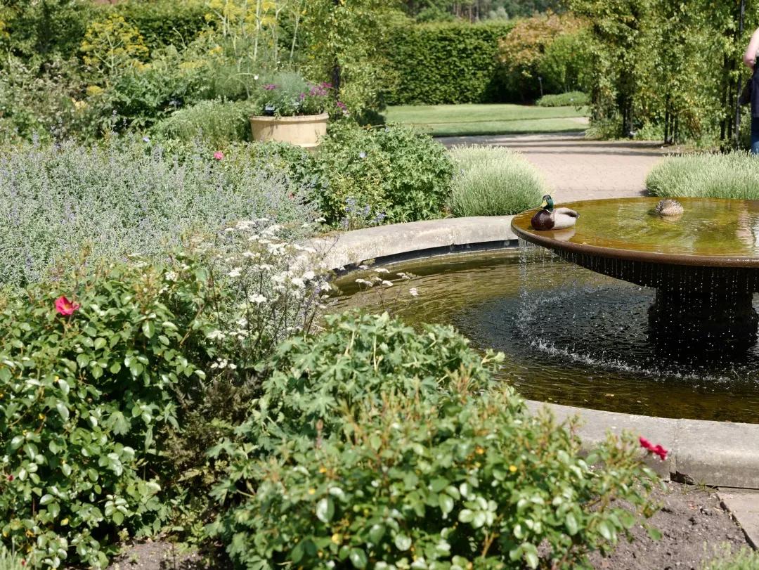 建一座完全不打药的生态花园，所有生命在这里和谐共处，值得收藏