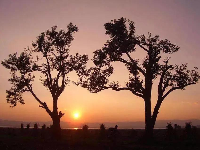 亲情永远藏在每个人的心间,亲情是永远割舍不断的爱