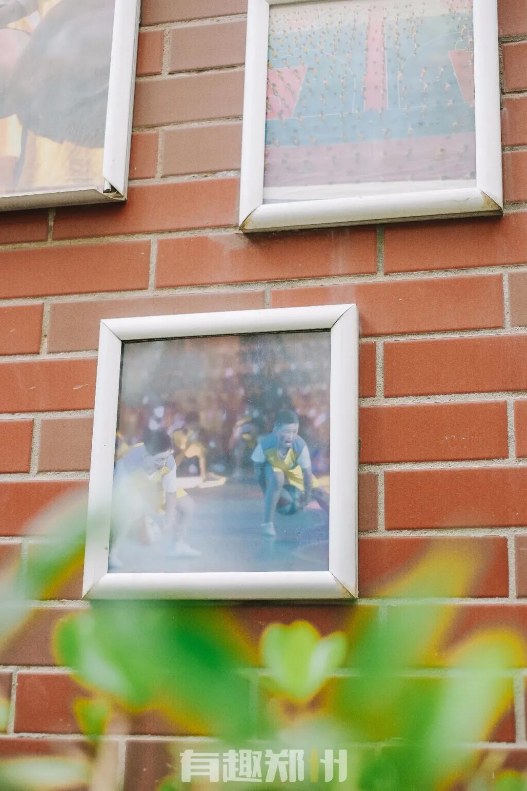 纬一路：在遮天的法桐里想起龙门书店的往事，以及家属院时光……