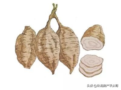 珠海舌尖上的美食羊排,珠海舌尖上的美食拱北摩尔广场