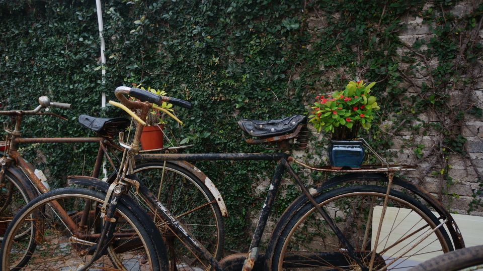 疫情过后娱乐行业重创,疫情过后旅游业的反弹