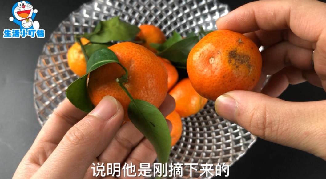 挑选砂糖橘的正确方法,教你挑选砂糖橘的技巧