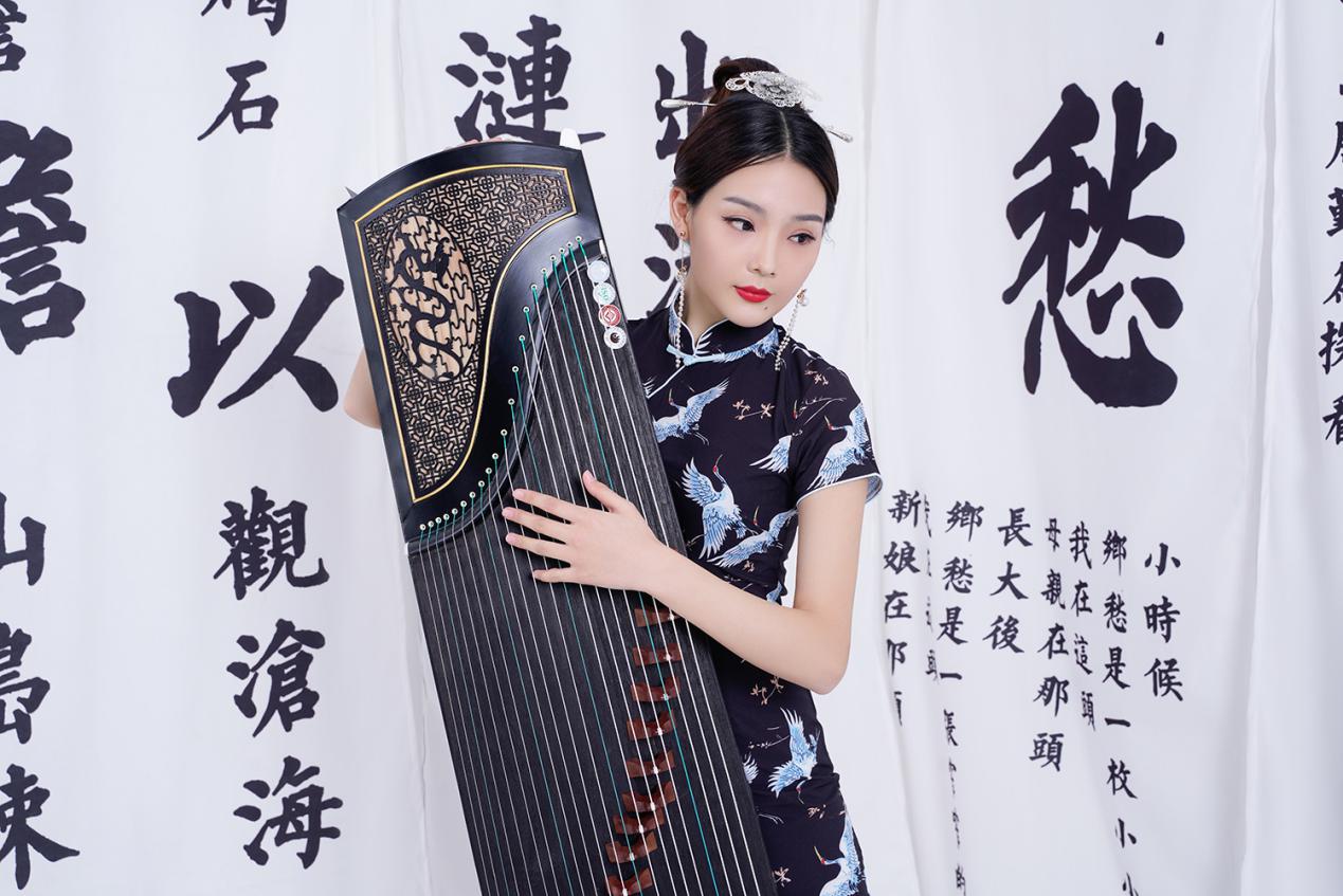 润扬古筝琴弦,润扬古筝旗舰店