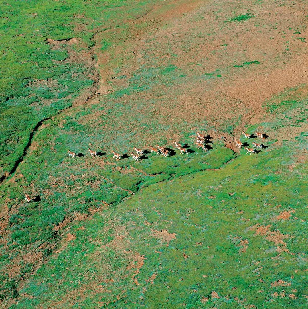 中国国家地理世界地理,中国国家地理和华夏地理