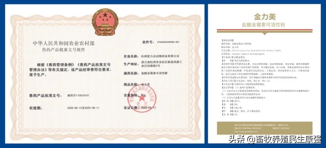 「新品上市」金力美:20%盐酸金霉素可溶性粉