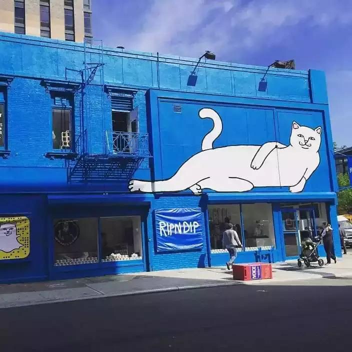 supreme买不到的帽子,买不起supreme壁纸