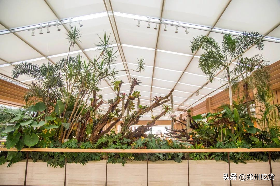 还有1天,十一假期我已经为你安排好了,来这里准没错