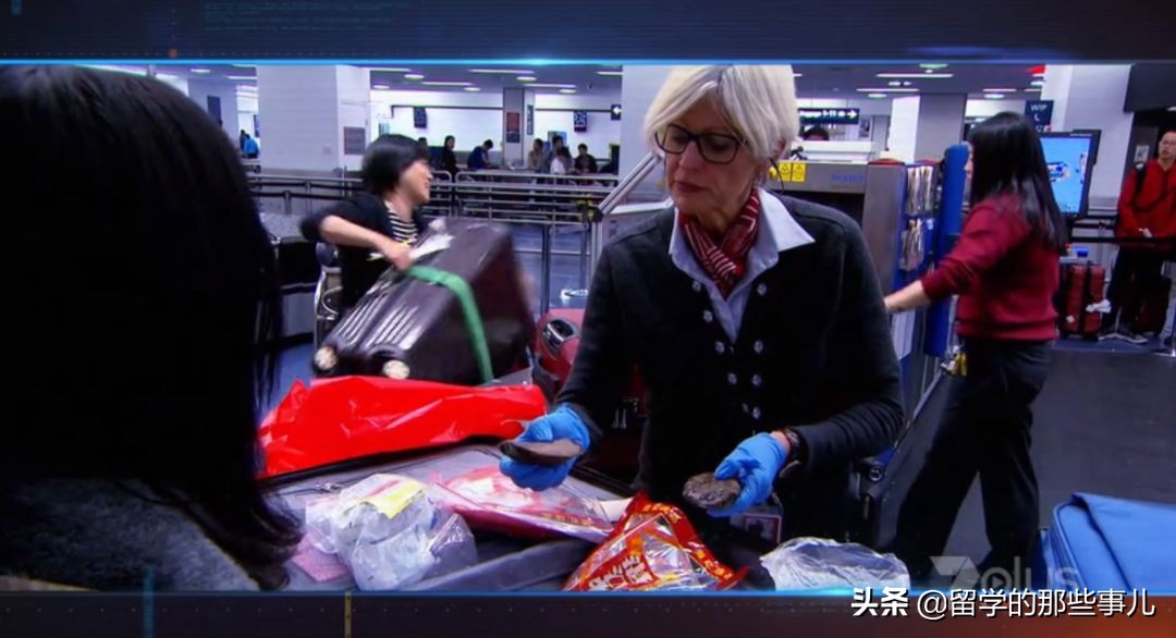 澳洲禁止入境物品最新规定,入境澳洲哪些东西能带哪些是禁带