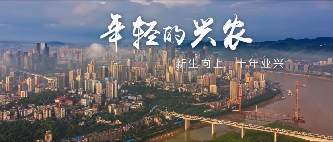 重庆市兴农担保集团,重庆兴农担保集团