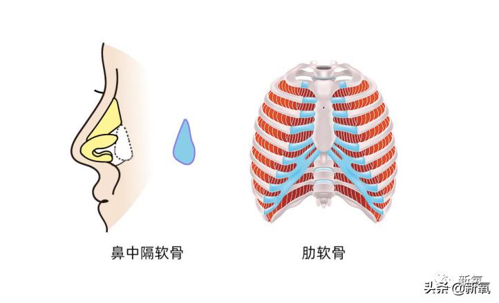 鞠婧祎鼻子有多漂亮,如何变成鞠婧祎同款鼻子