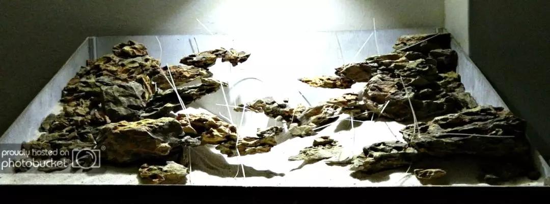 草缸造景教程:胶水造景太温柔,男人就该上电钻