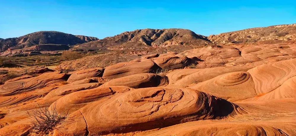 黎志淡出，中旅集团退出，祥源为何仍接盘“硬骨头”中景信？