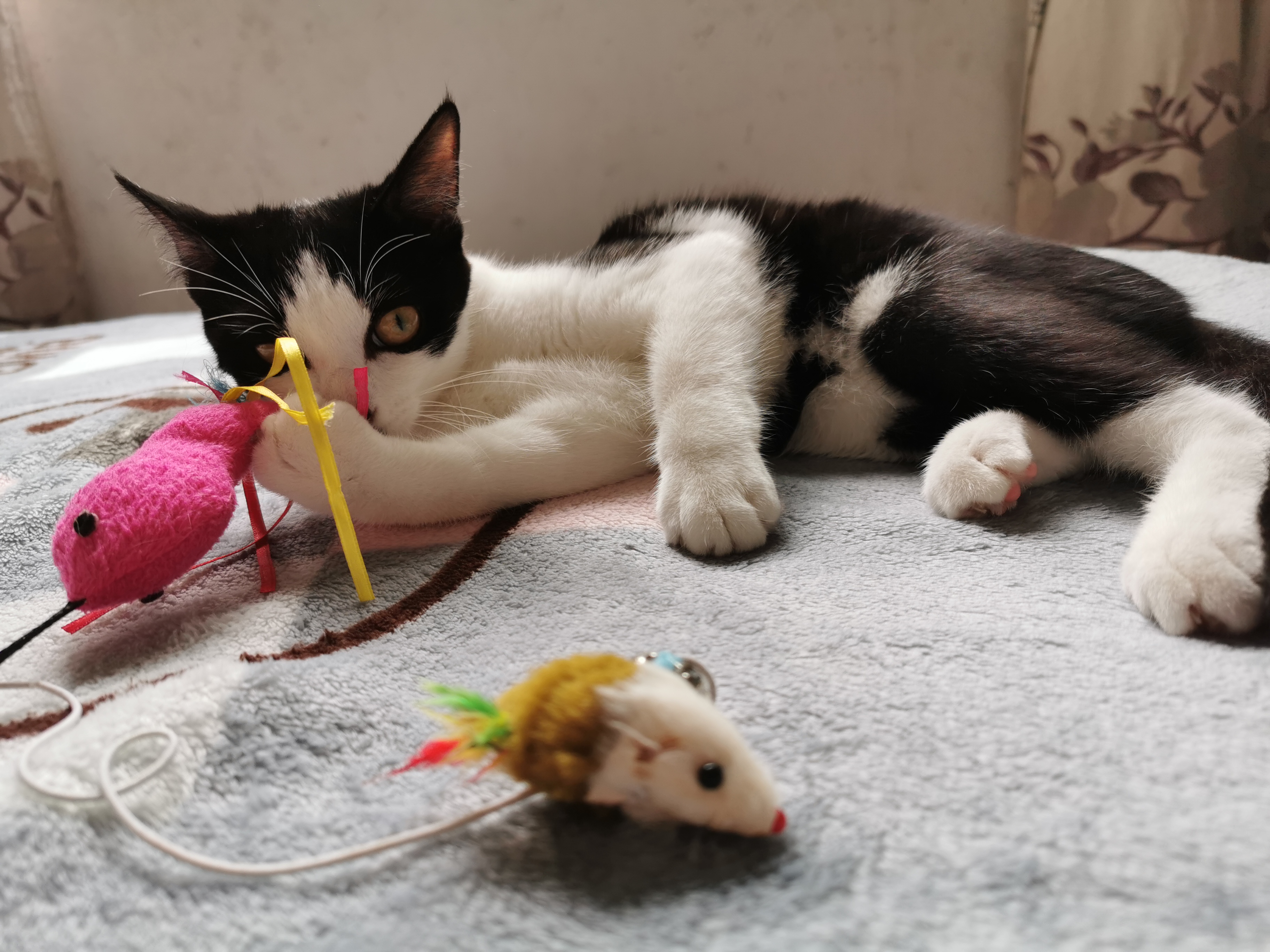 下雨天了我好想你歌词,下雨天了怎么办我好想你原版