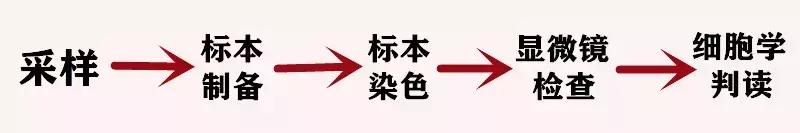 显微镜下的三千大千世界,显微镜下的世界是精美绝伦的