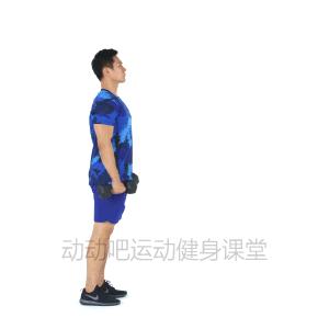 9个哑铃动作练全身,0基础哑铃训练动作大全