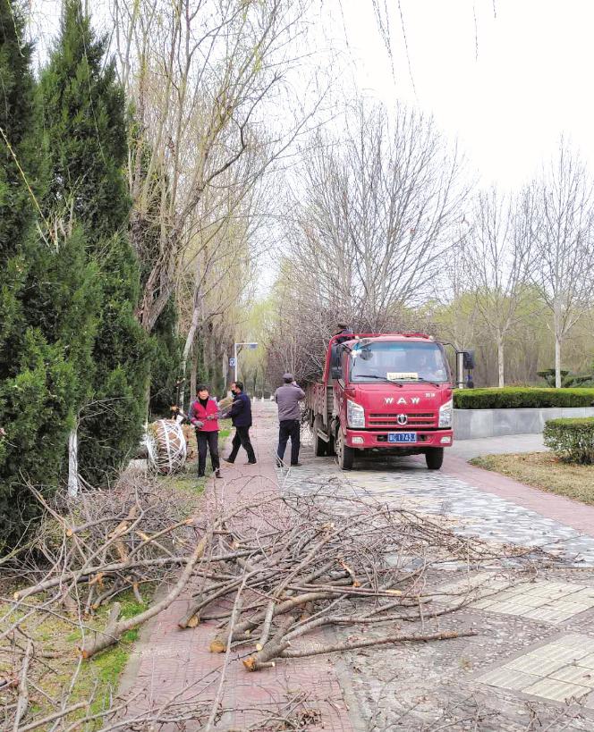 看花海何必去远方?宝鸡这幅“画卷”将让你感受诗情画意