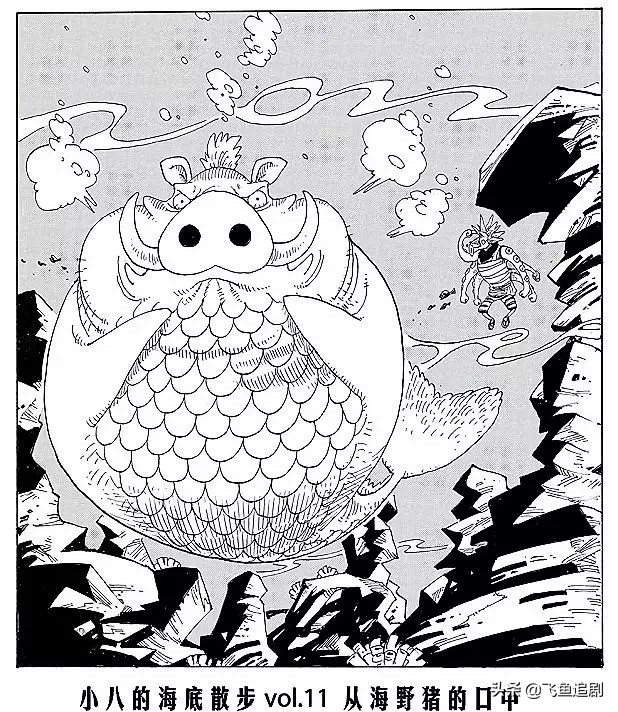 海贼王小八的海底漫步,海贼王里小八的海贼团图标