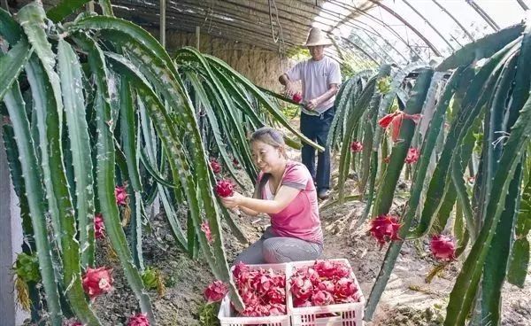 全新疆著名的特产,大新疆有啥特产