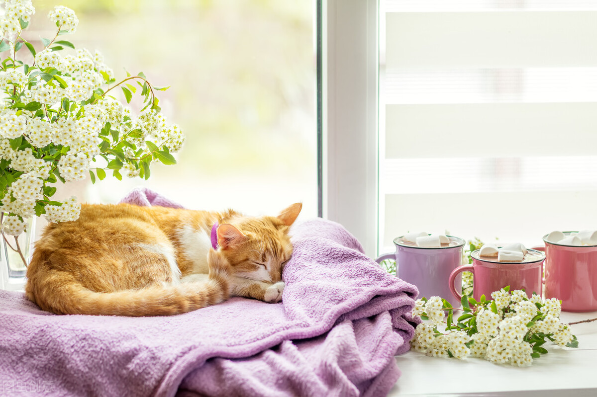 男女之间互相称呼的正确方法,恋爱中男女如何互相称呼