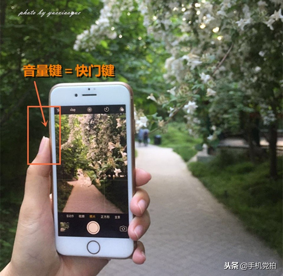 手机拍照不锐利怎么解决,手机拍照感觉不通透模糊