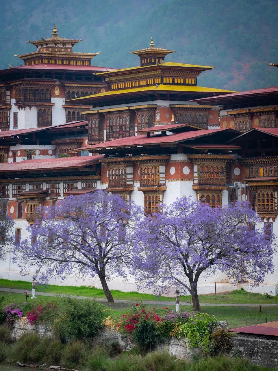 中国至今没被认全的20个邻居，个个身怀宝藏，你知道几个？