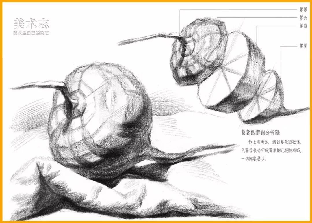 素描常见水果,适合新手的100幅素描画蔬菜水果