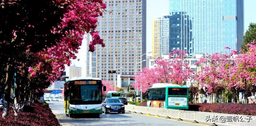 被大理的美景所折服,被丽江的风景美到了