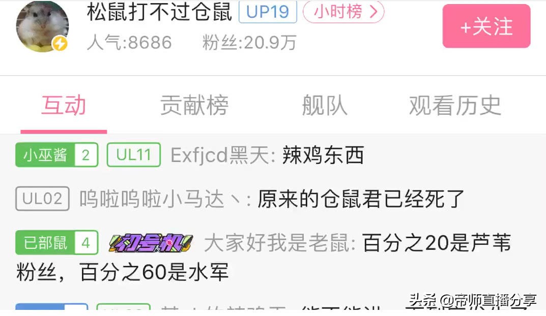 当初实锤五五开开挂的帝师仓鼠现在怎么样了？