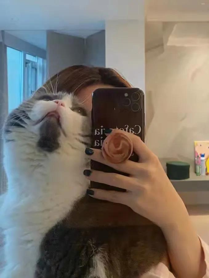 万科御澜道意式极简,万科御澜道欧式风格