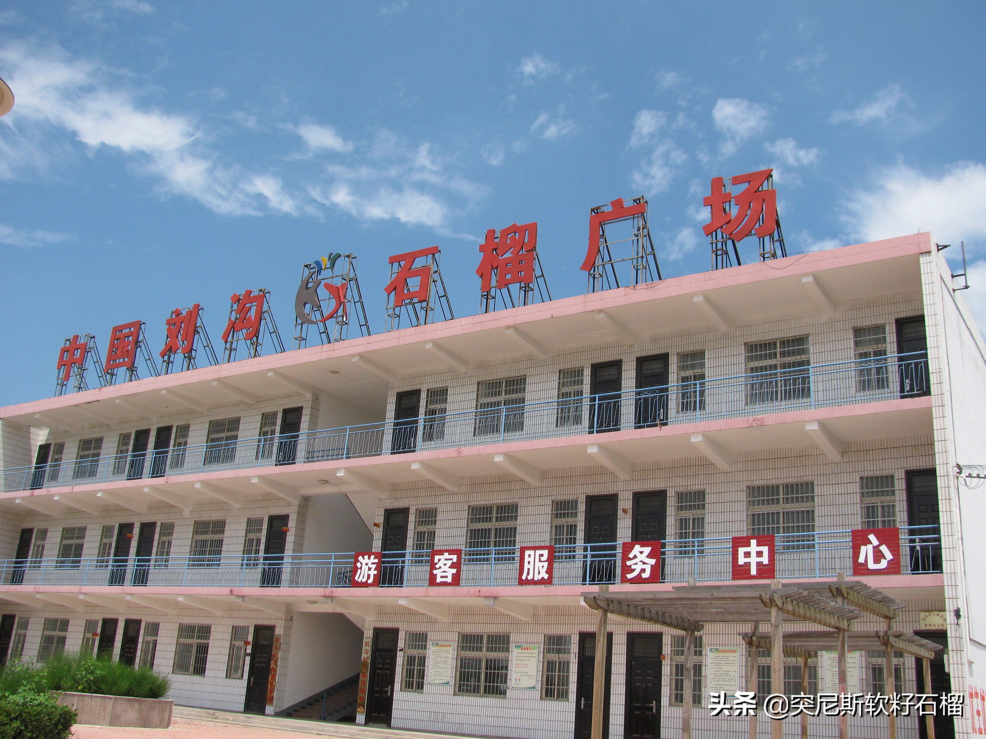 你对突尼斯软籽石榴了解多少,突尼斯软籽石榴的正确打开方式