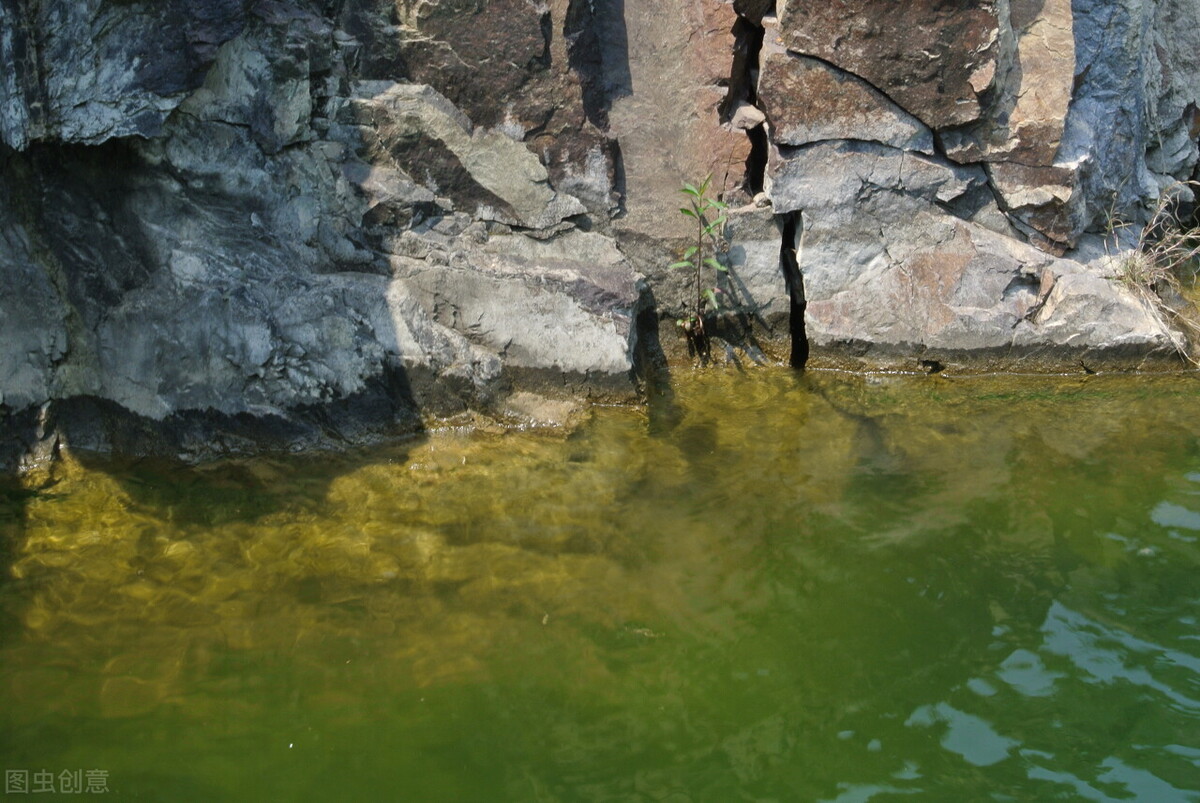 鳜鱼什么时间段钓最难钓,野钓鳜鱼作钓思路及技巧