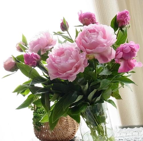 花艺插花常见花名有哪些,鲜花插花的技巧有哪些