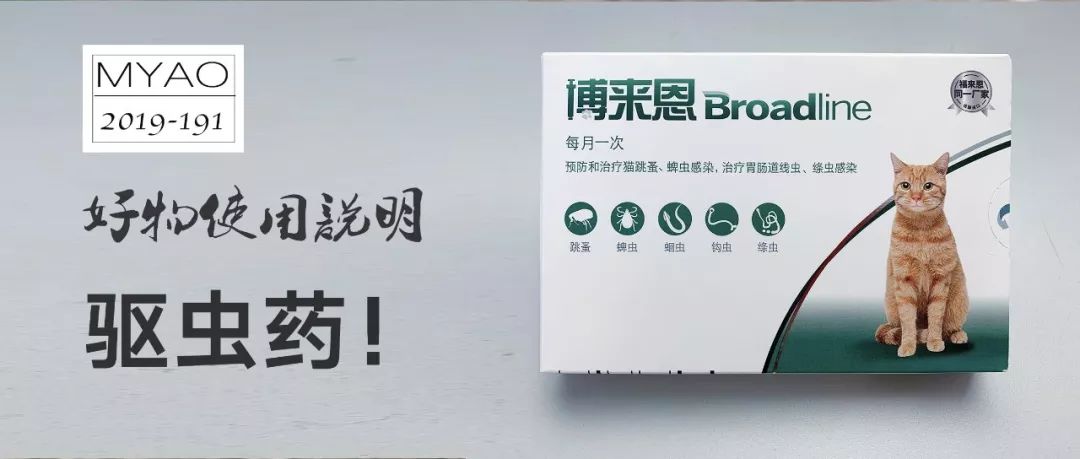 猫咪用博来恩外驱后多久才能舔毛,博来恩和拜耳内驱可以同时用吗