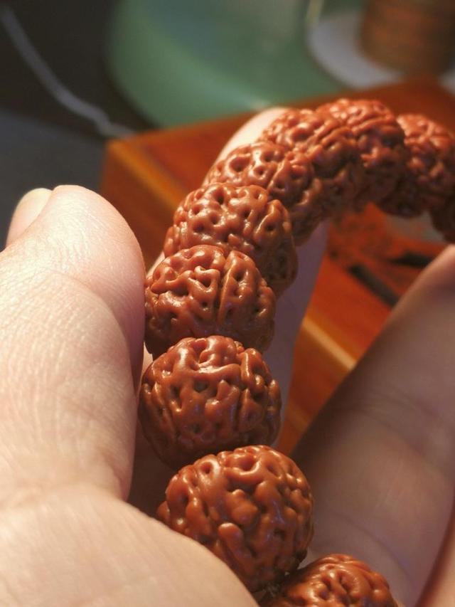 现在不玩金刚菩提了都玩什么,金刚菩提的基础知识