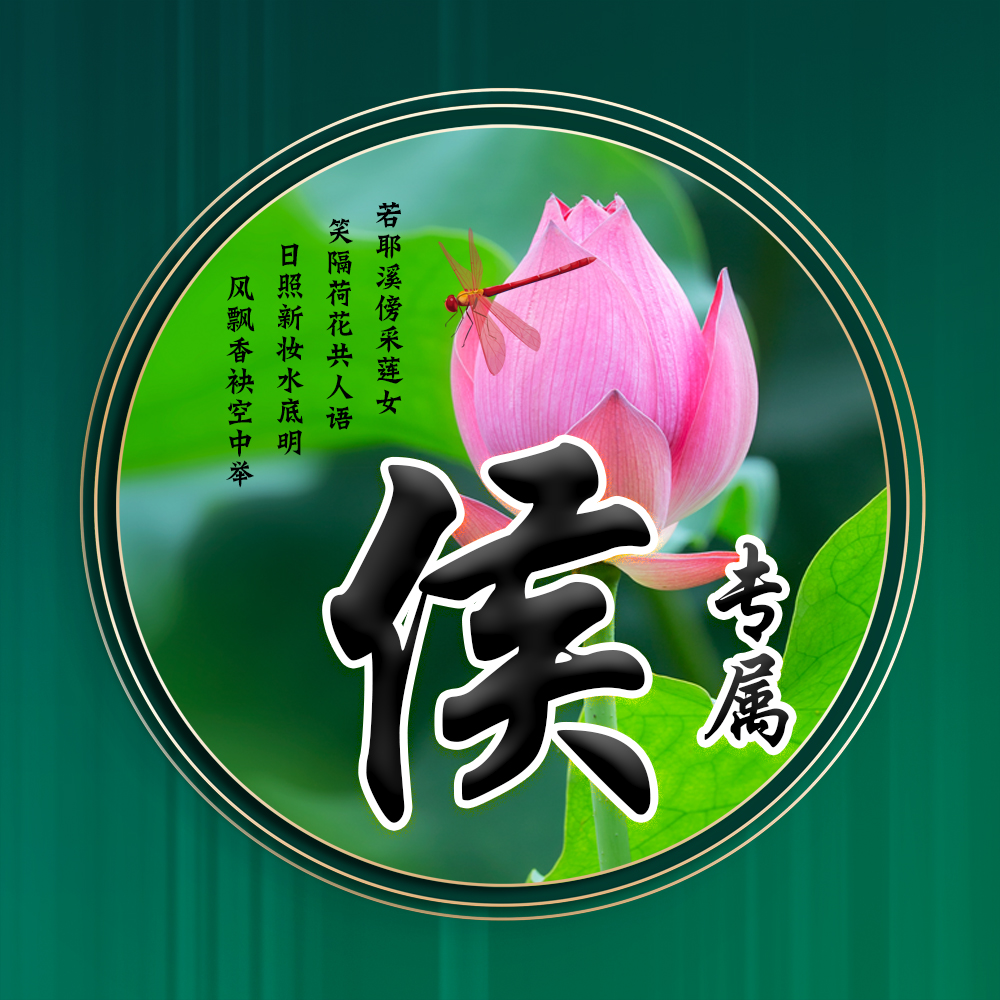 100张唯美荷花姓氏头像,适合做头像的荷花图片清晰点的