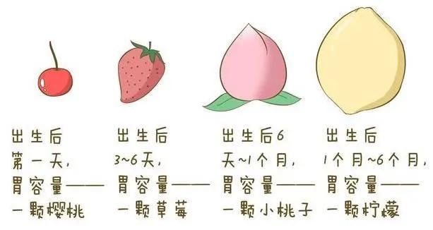 新生儿干货视频,新生儿喂养书籍推荐