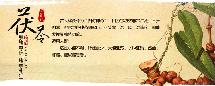 肾阳虚的人可以服用茯苓吗,寒湿重的人可以吃茯苓吗