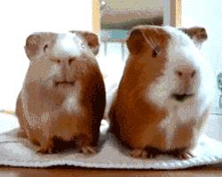 8个超级笑话，送给群里朋友乐一乐