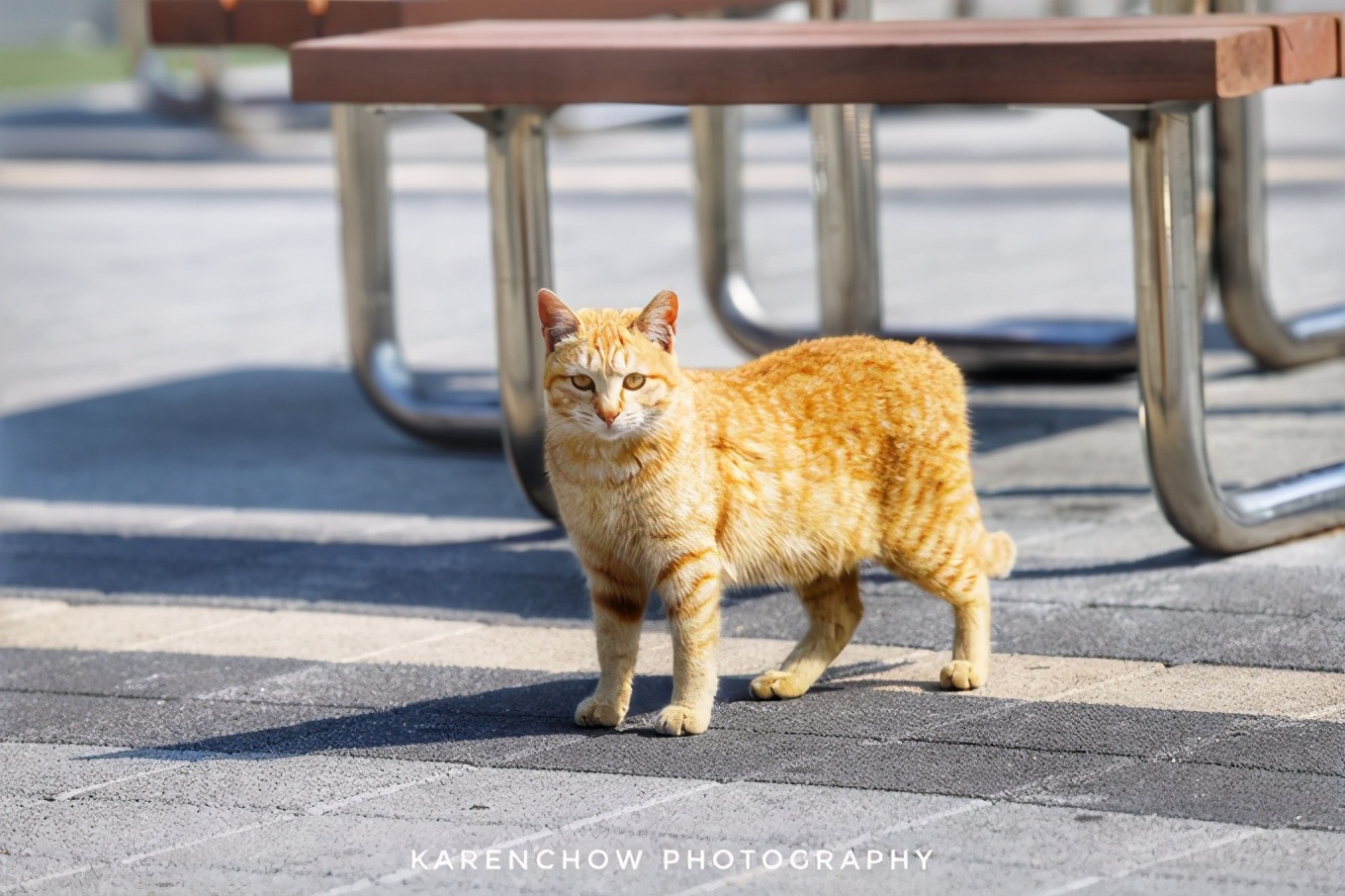 韩国安东美食,韩国釜山必游胜地